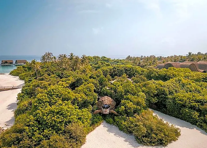 Joali Being